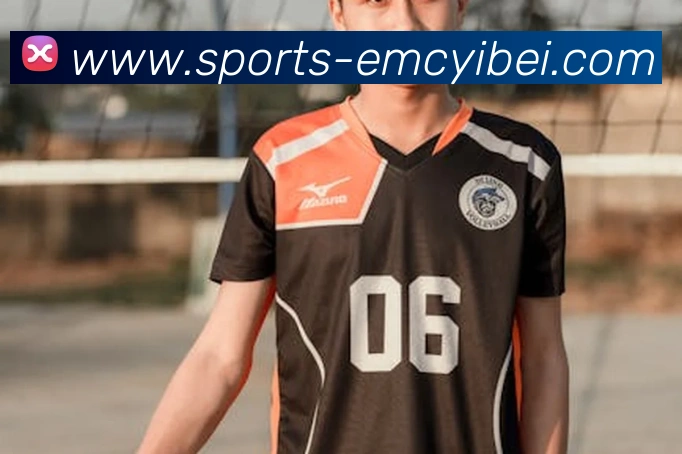 App Interface Preview