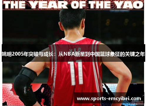 姚明2005年突破与成长：从NBA新星到中国篮球象征的关键之年